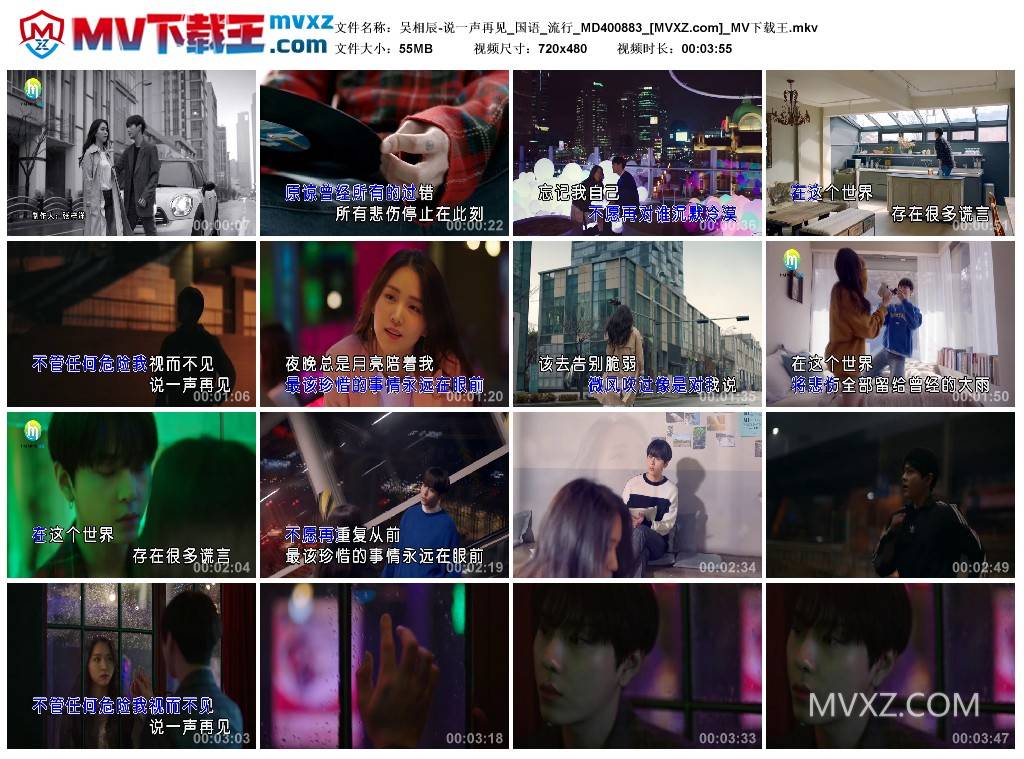 吴相辰-说一声再见_国语_流行_MD400883